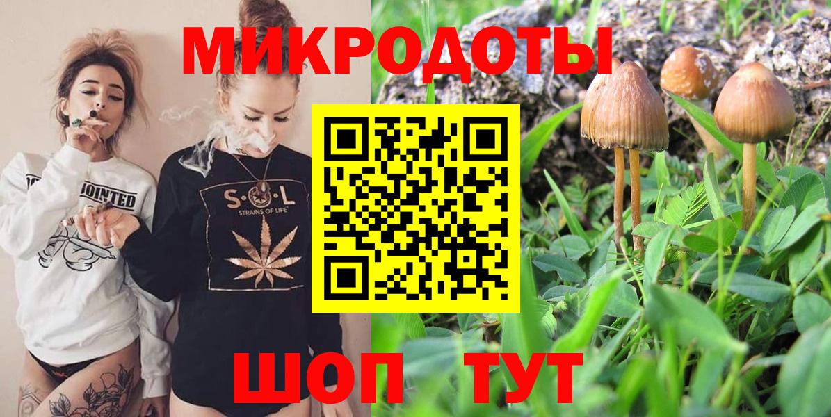цена   Псилоцибиновые грибы ЛСД  Вход с VPN  Пушкино  Псилоцибиновые грибы мухоморы 